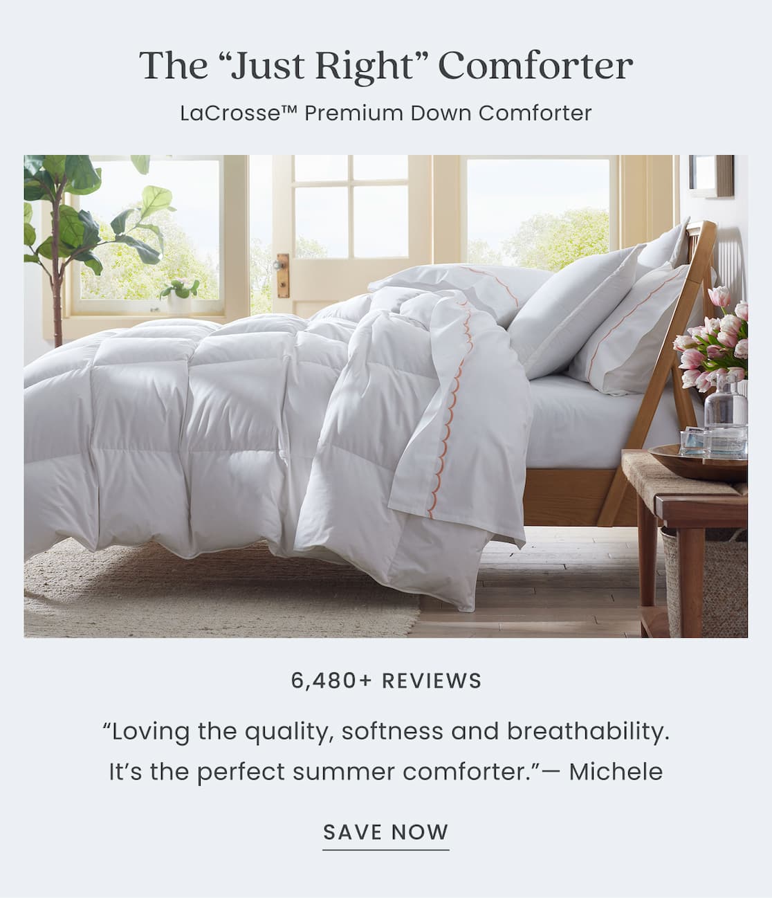 Lacrosse Down Comforter
