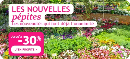Les nouvelles pépites jusqu'à -30%