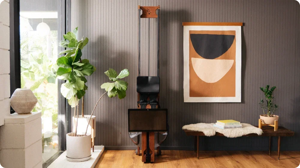 The Ergatta Luxe