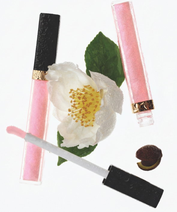 THE POWER OF A LIP CARE PRODUCT