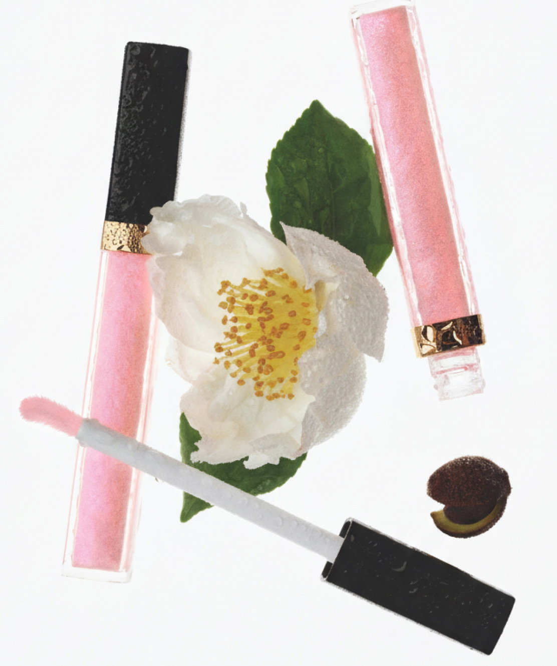 THE POWER OF A LIP CARE PRODUCT