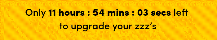 Countdown timer for Big Holiday Flash Sale.