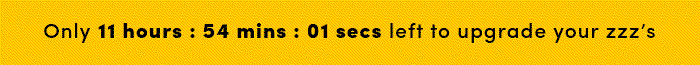Countdown timer for Big Holiday Flash Sale.