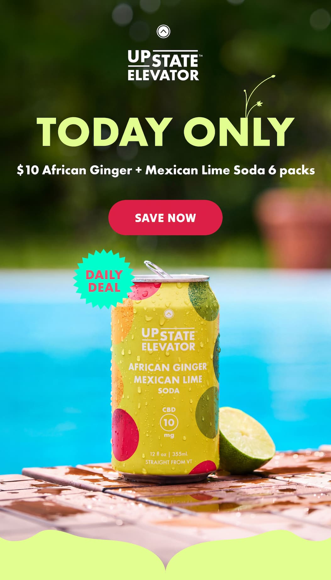 $10 African Ginger + Mexican Lime