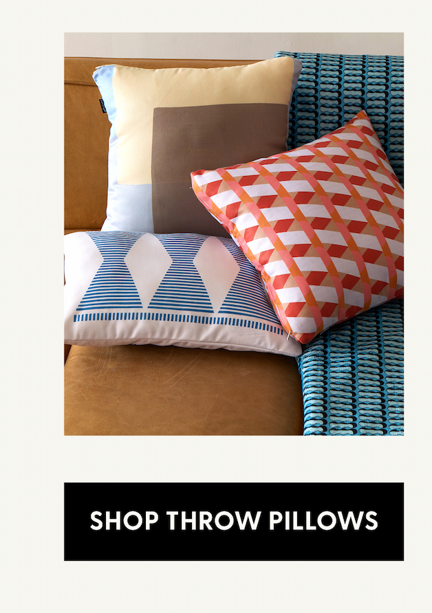 Shop Throw Pillows