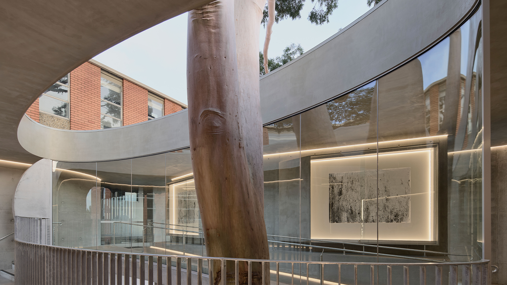 gum tree gallery
