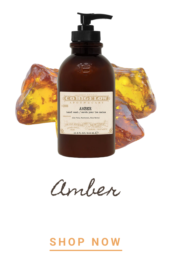 Amber | SHOP NOW