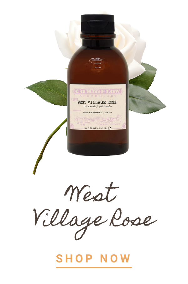 West Village Rose | SHOP NOW