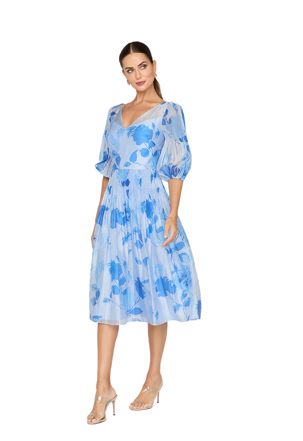 Georgina Tea Length Dress