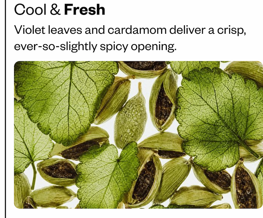 Cool & Fresh