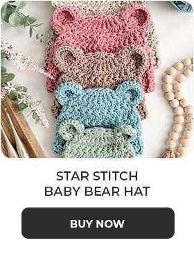 Star Stitch Baby Bear Hat