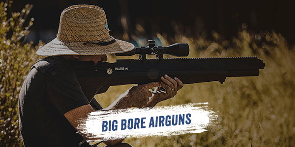 Big Bore Airguns