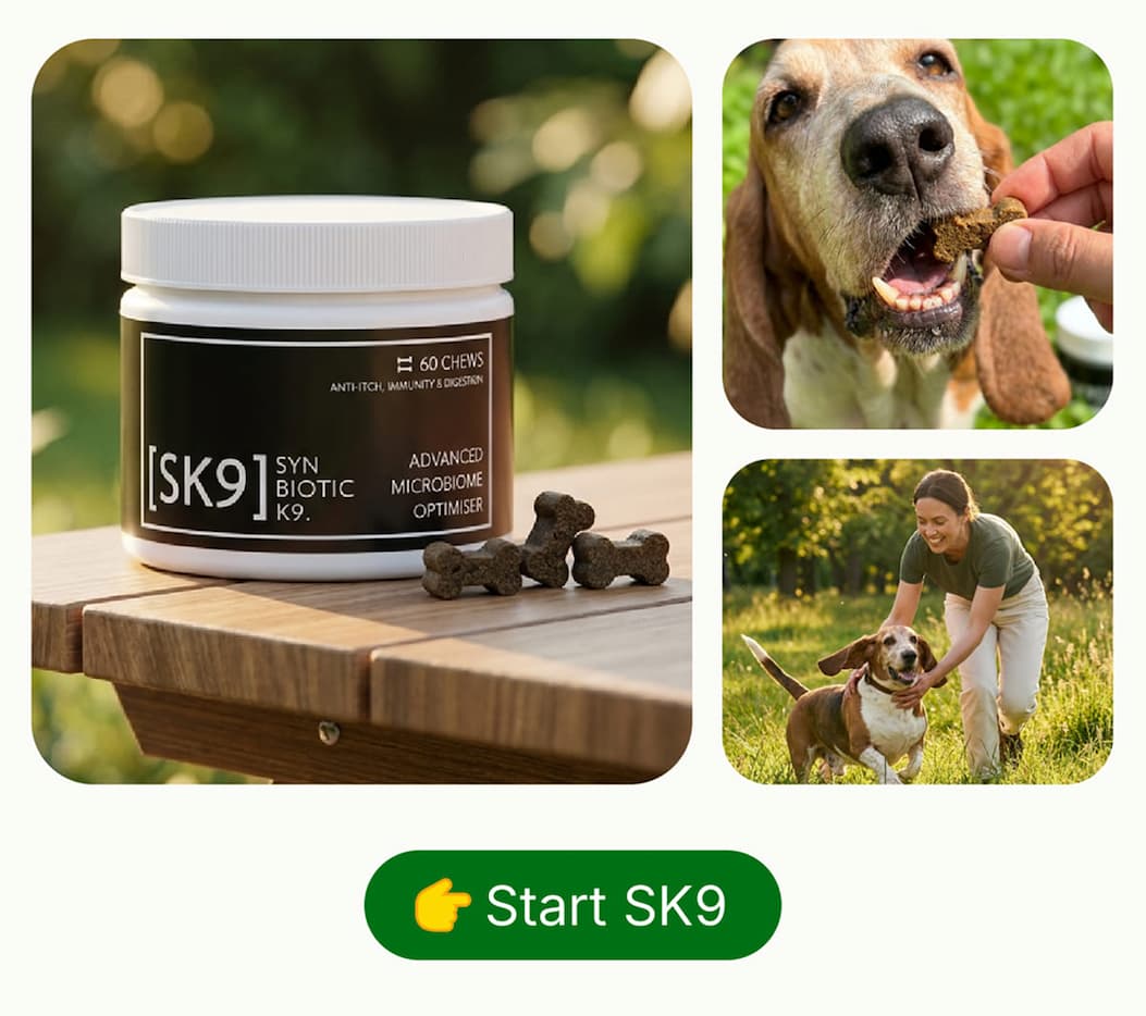 👉Start SK9