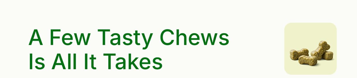 A Few Tasty Chews Is All It Takes