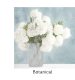 Botanical