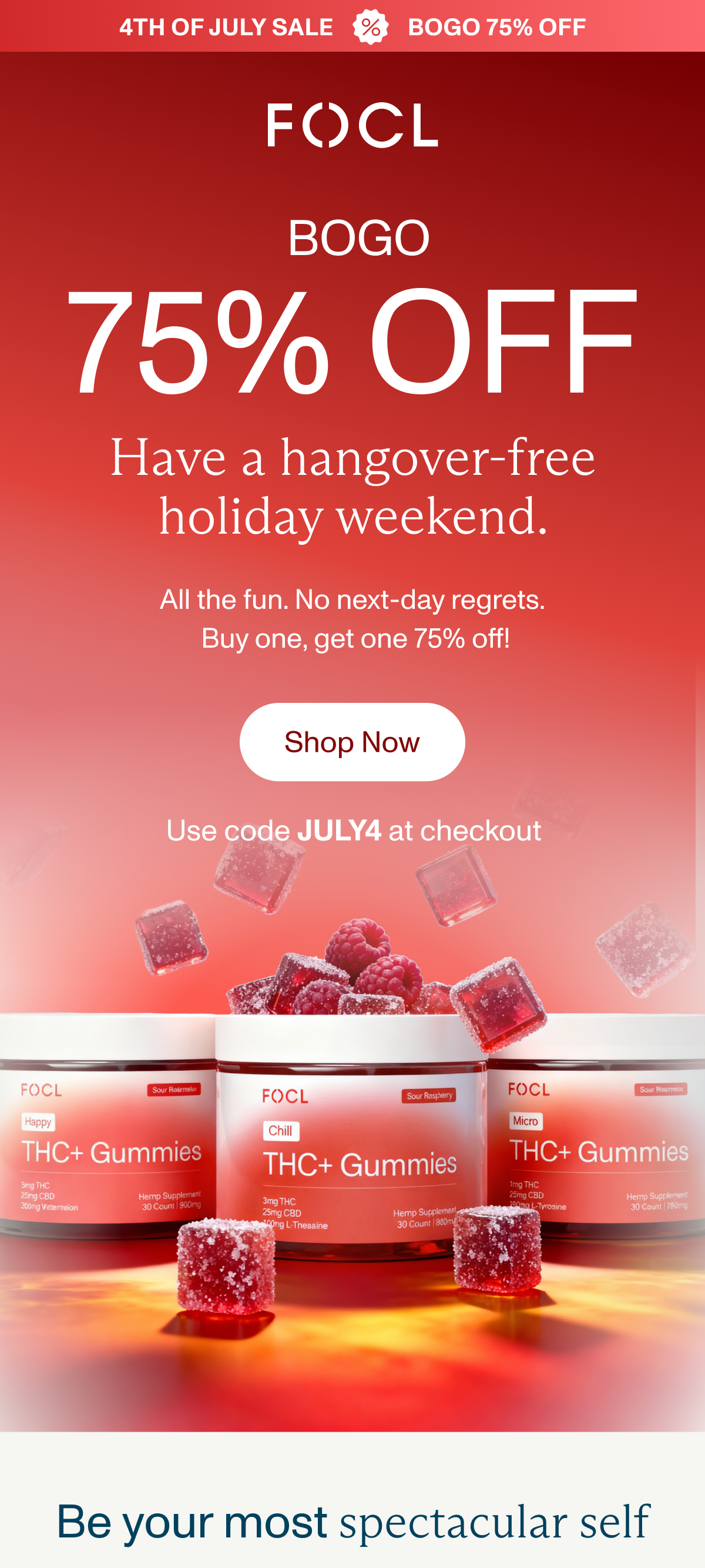 BOGO 75% OFF - Use Code JULY4