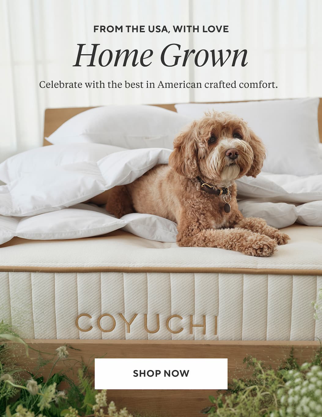 From the USA, with love HOME GROWN Celebrate with the best in American crafted comfort.  Shop Now >