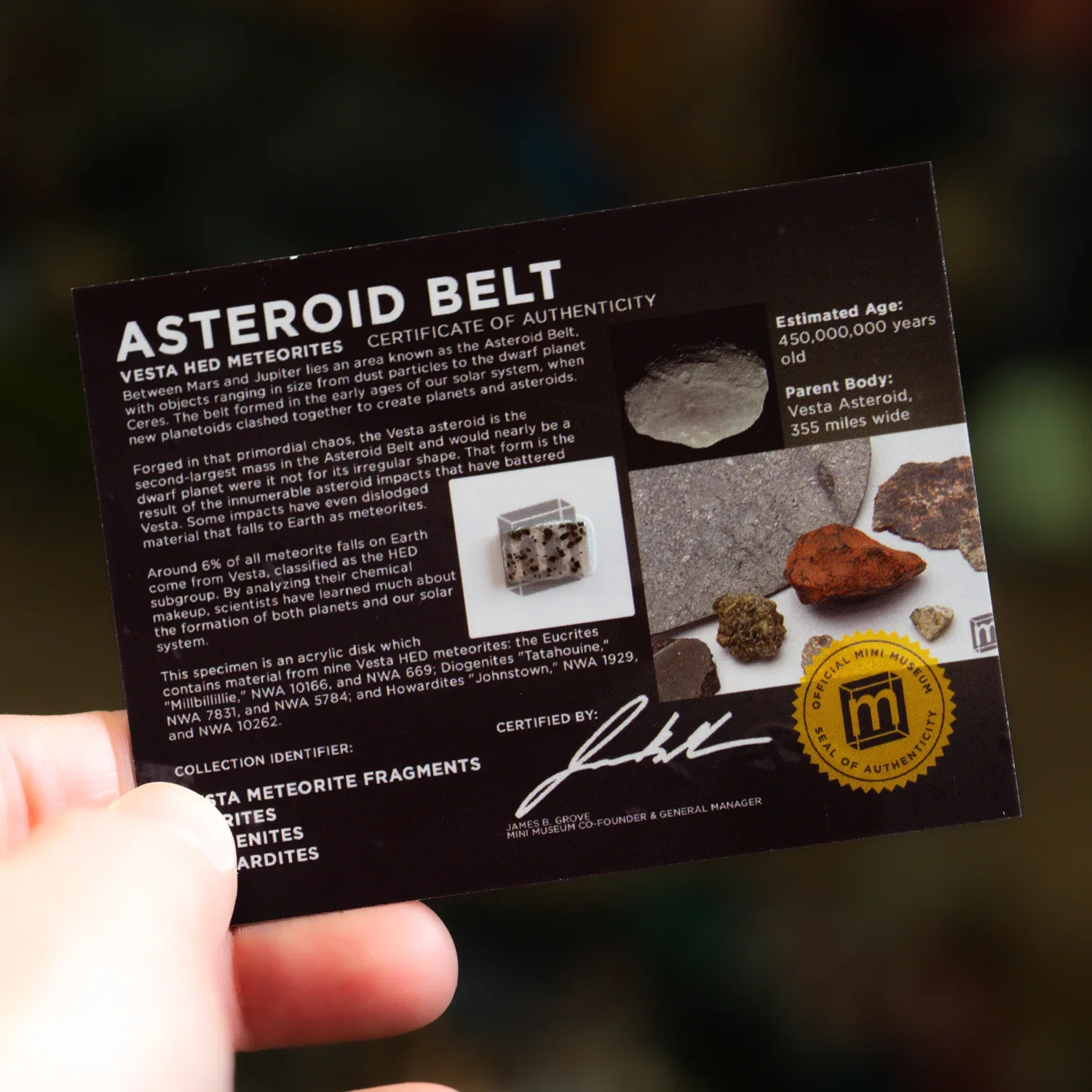 Image of Asteroid Belt HED Meteorite Fragments - Display Card
