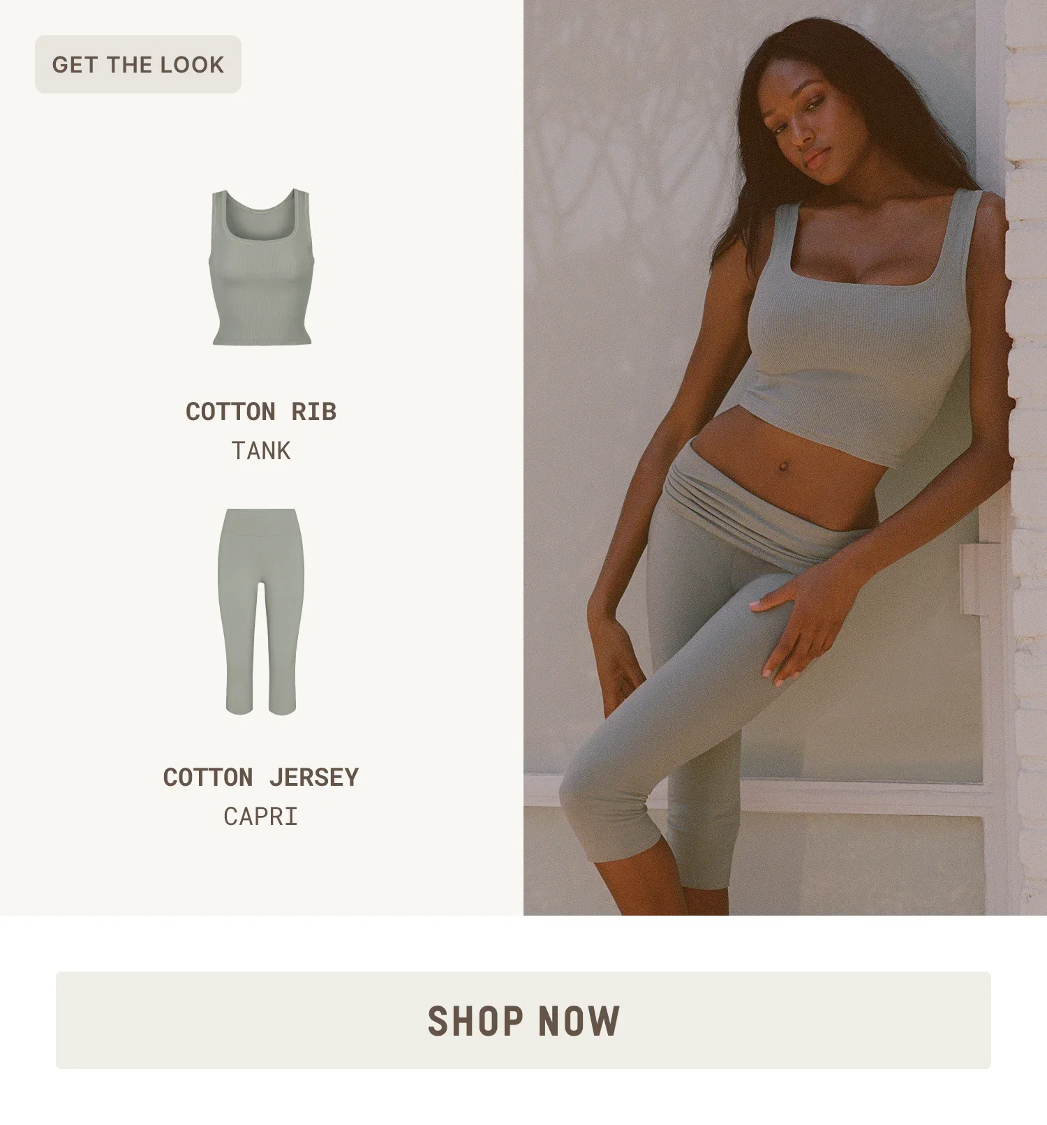 SHOP NOW