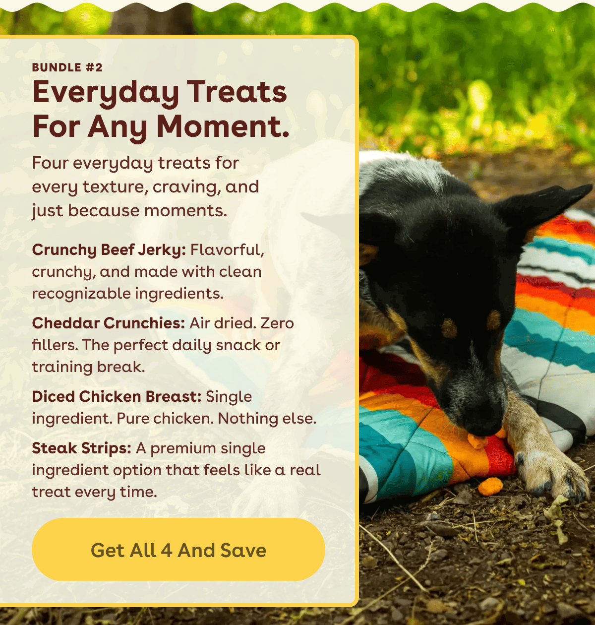 Get all 4 and save!