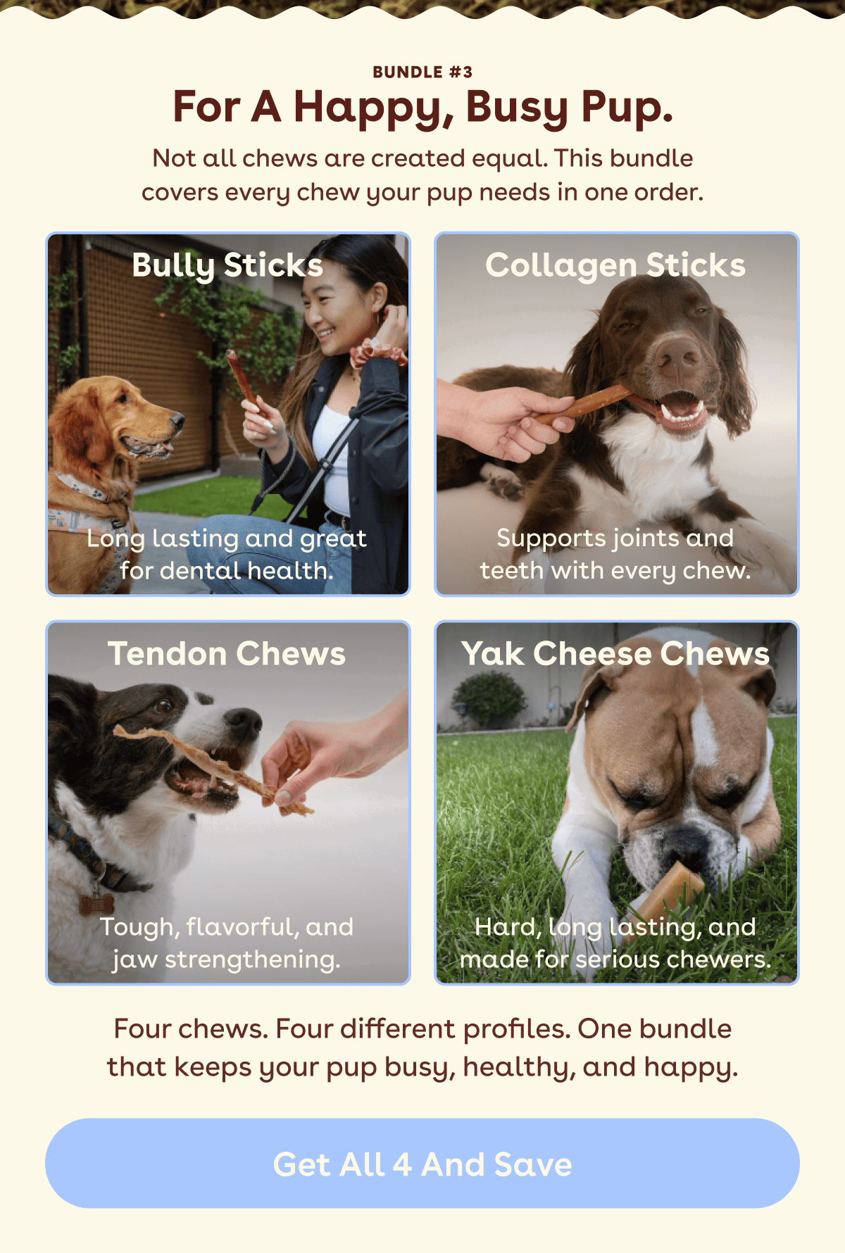 For a happy, busy pup 