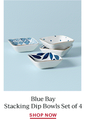 Blue Bay Stacking Dip Bowls Set of 4  SHOP NOW
