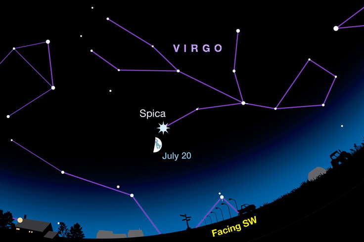 Spica-in-July-2026-1 image