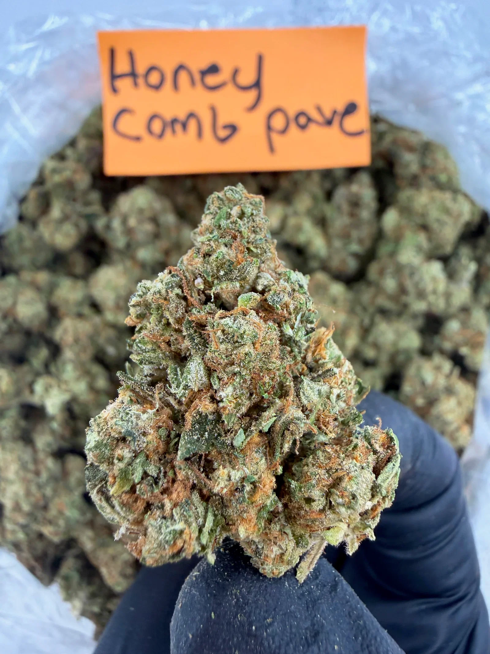 Image of Honey Comb Pave - Indica-Dom Hybrid - Value Indoor THCA Flower Full Size Buds