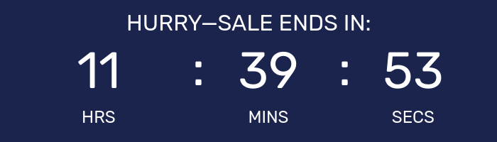 Countdown timer for Big Holiday Flash Sale.