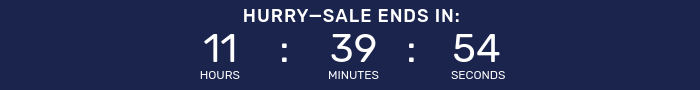 Countdown timer for Big Holiday Flash Sale.