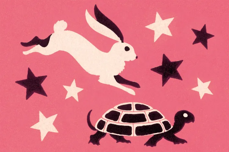 A tortoise and a hare | Getty Images