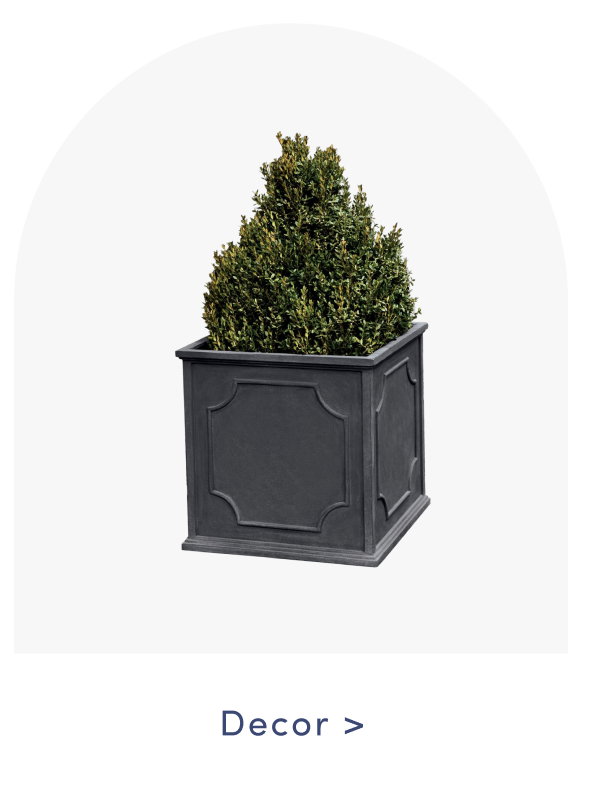Shop Decor
