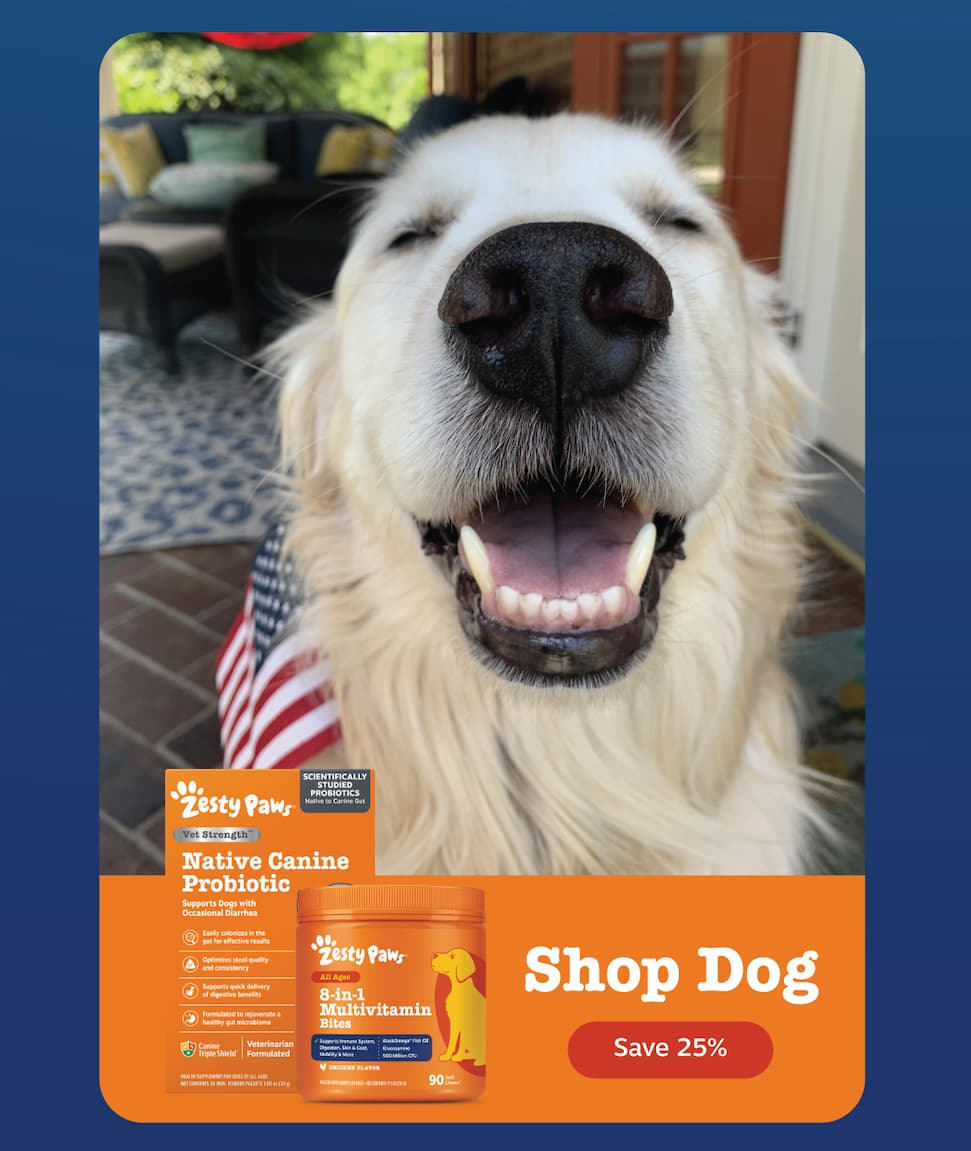 Shop Dog! Save 25%