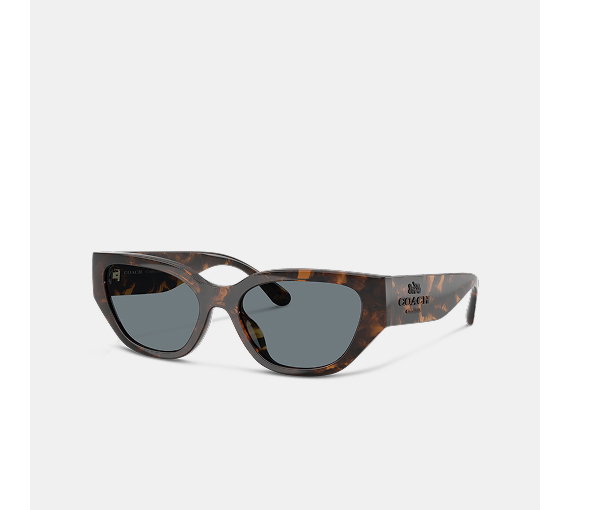 Shop Sunglasses
