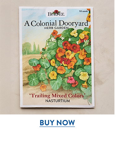 Trailing Mixed Colors Nasturtium Seeds