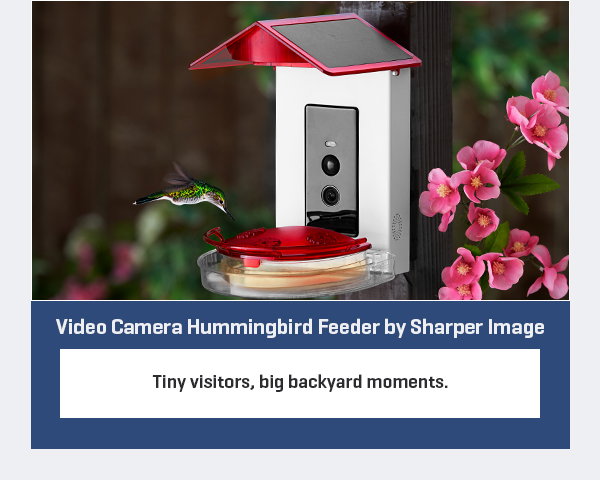 Video Camera Hummingbird Feeder by Sharper Image