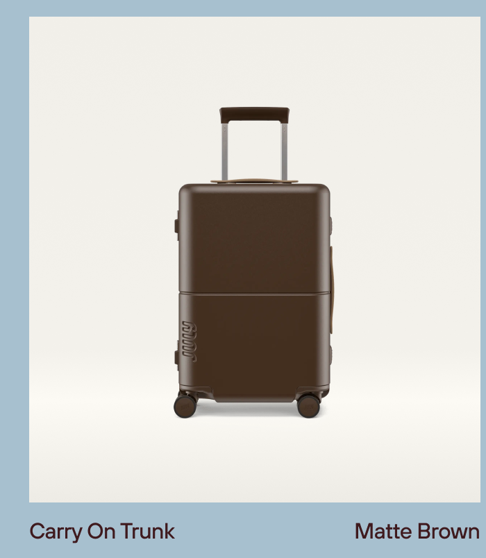 Carry On Trunk