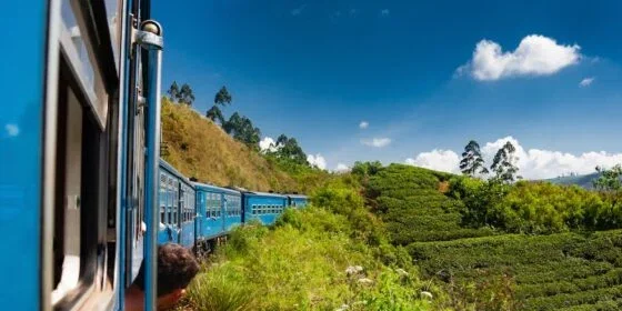 What To Expect On Your Sri Lanka Tour