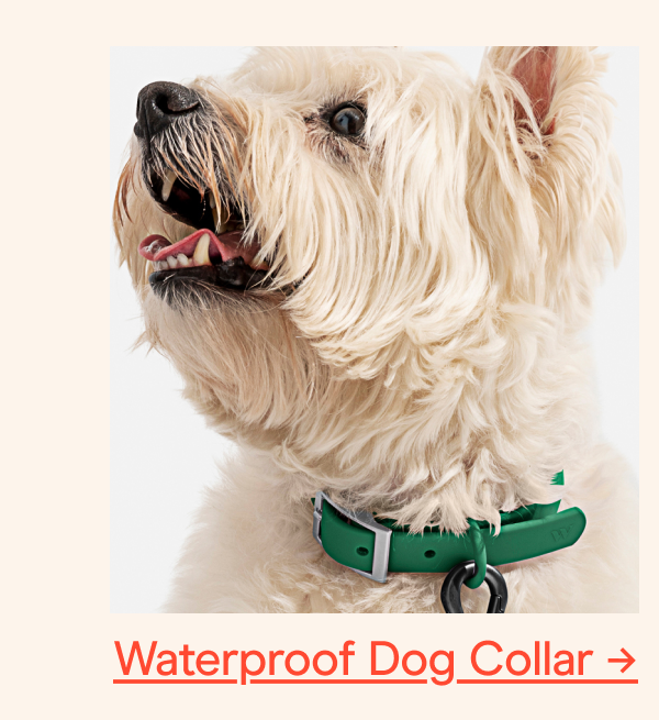 waterproof dog collar
