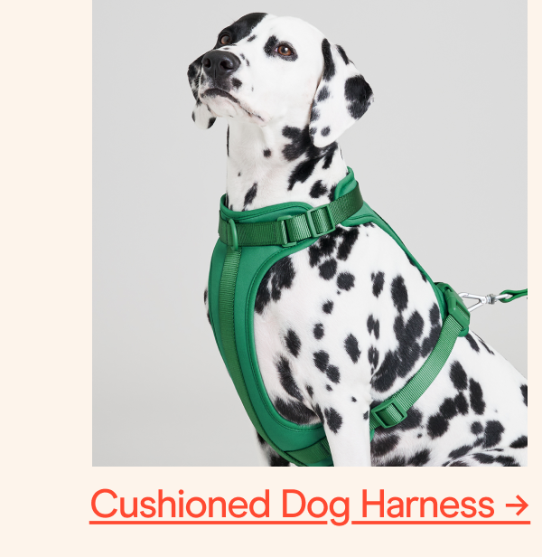 cushioned dog harnesss