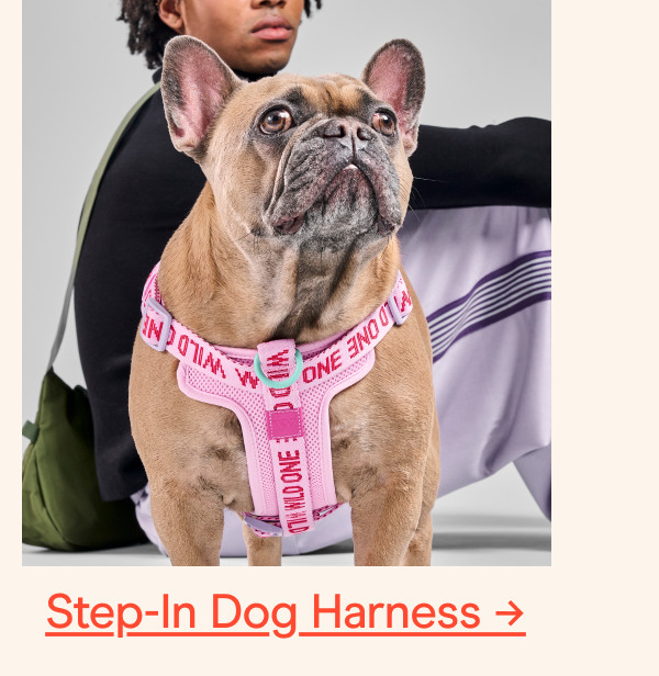 step-in harness