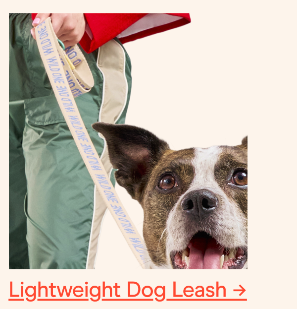 lightweight dog leash