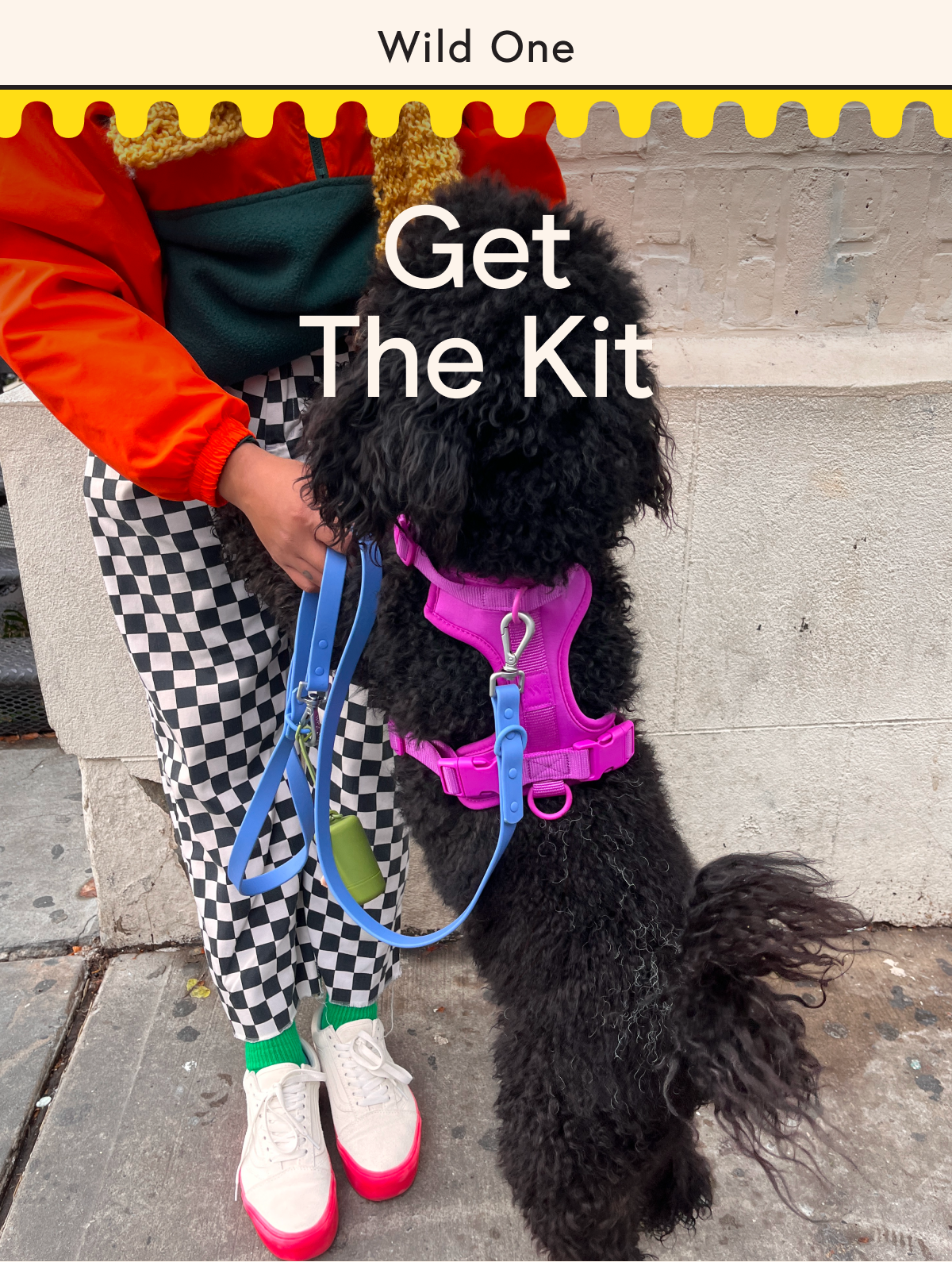 Get the kit