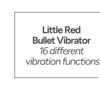Little Red Bullet Vibrator - Natalie's Toy Box