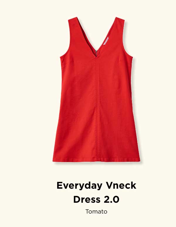 Everyday Vneck Dress 2.0