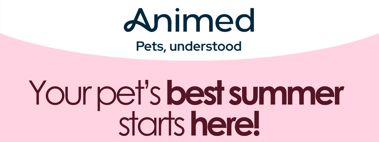 Animed