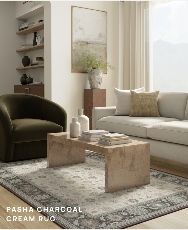Pasha Charcoal Cream Rug