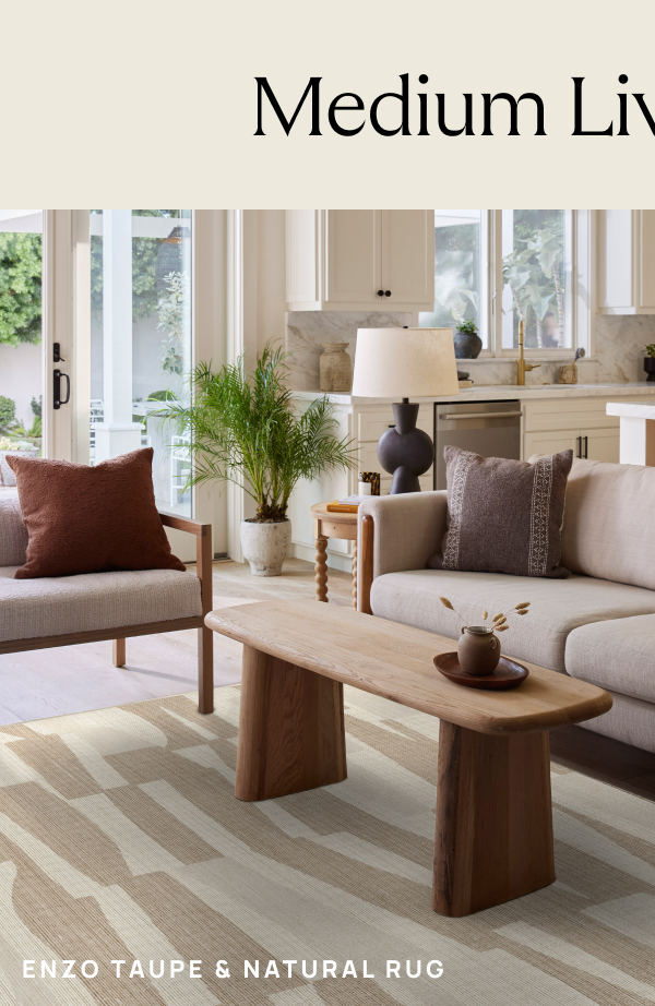 Enzo Taupe & Natural Rug