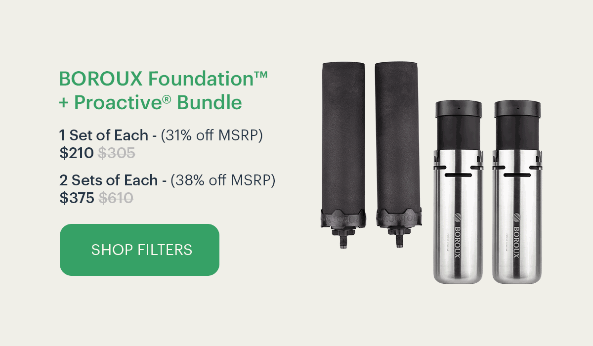 BOROUX Foundation™ + Proactive® Bundle