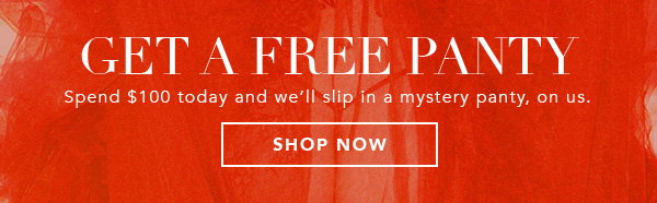 Get a Free Panty | Spend $100 today and we'll slip in a mystery panty, on us. [Shop Now]